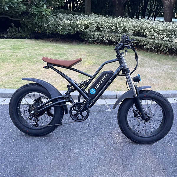 20 Inch Off Road Ebike Electric Hybrid Bike Electric Fat Tire Bike Bicycle 1000W Motor Power Electric Mountain Bike