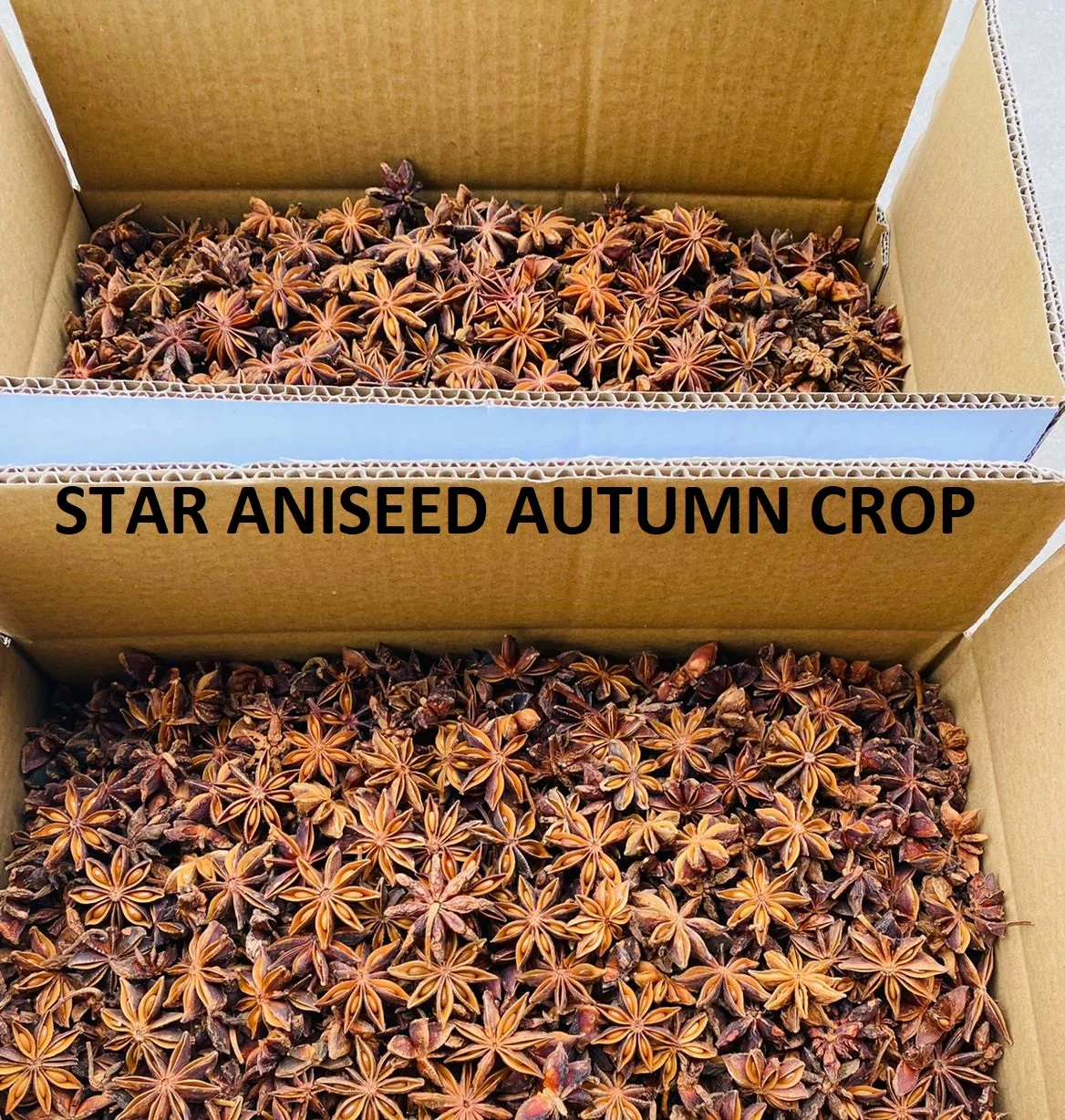 Vietnam Manufacturer for spices to export  STAR ANISE / STAR ANISED Turmeric chicken seasoning powder turmeric powder nutmeg