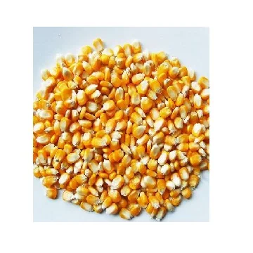 cgm corn gluten meal 60% protein corn yellow corn powder not gluten meal animal feed