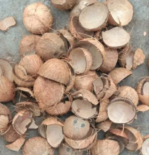 Top Selling Coconut Crushed Shell From India Exports