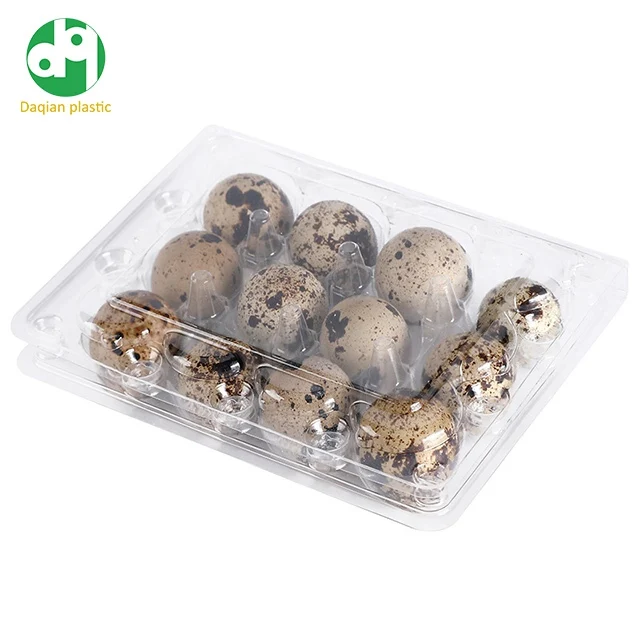 Disposable Quail Egg trays 6/12/24/30 cells clear PET plastic eggs container