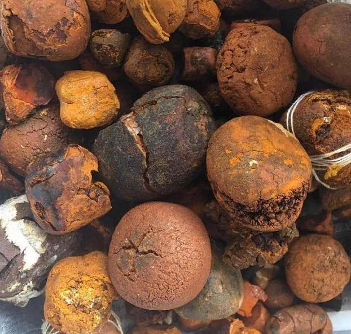 We can sell you best quality Cow/Ox/Cattle Gallstones