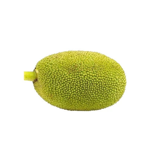 Premium Grade Tropical Fruit Sweet Taste Fresh Jackfruit 100% Organic Natural Yellow Color Wholesale Suppliers