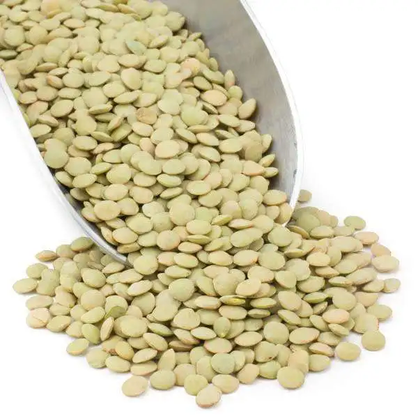 Wholesale green lentils, red lentils, canadian lentils red split lentils red lentils in bulk
