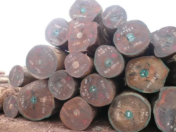 Древесина по лучшей цене, которую вы можете получить