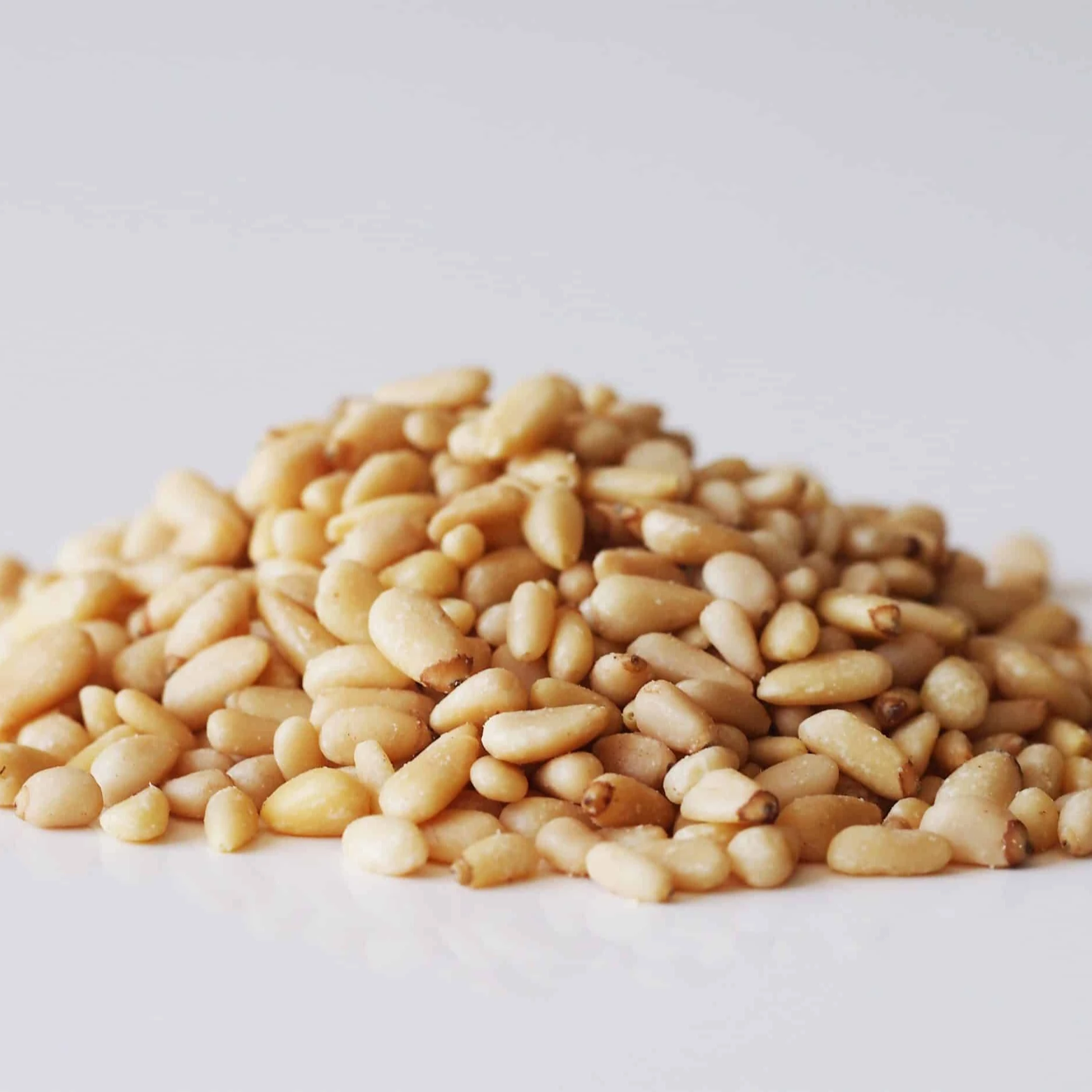 Organic Pine Nut Kernel For Sale