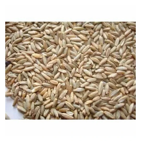 High Quality Rye GROUND FLOUR special for Rye Bread Factory Supply Bulk Wholesale Price Top Quality Organic Rye Grains