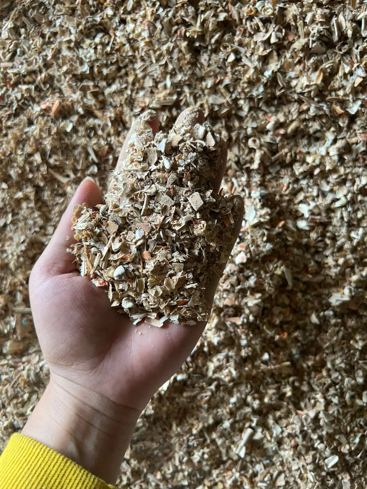 Fertilizer Dried Crab Shell Powder Dried Crab Shell Manufacturers High Quality For Plant  +84947900124