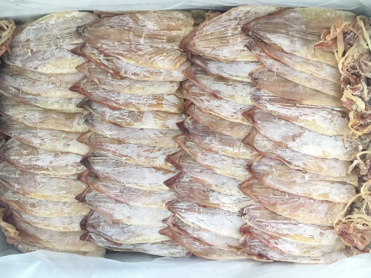 Cheap Price  Dried Black Squid  from Vietnam 2022 New Season (Jennie)