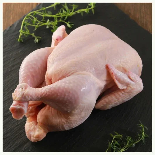 High Quality HALAL Frozen Whole Chicken Wholesale Frozen Chicken Breast BEST QUALITY for SALE at LOW PRICE