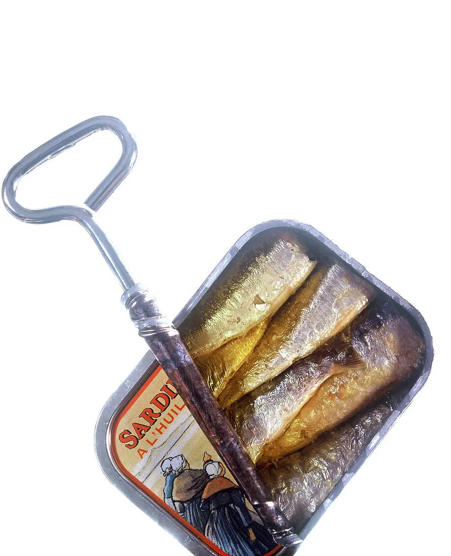 Seafood in Tomato Sauce or Vegetable Oil Canned Sardine Fillet