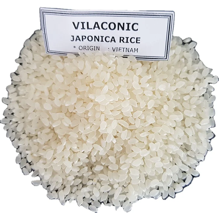 Japonica The Best Short Grain Rice Vietnam Japonica Rice Japonica Rice Supplier Exporter Wholesale Trader |
