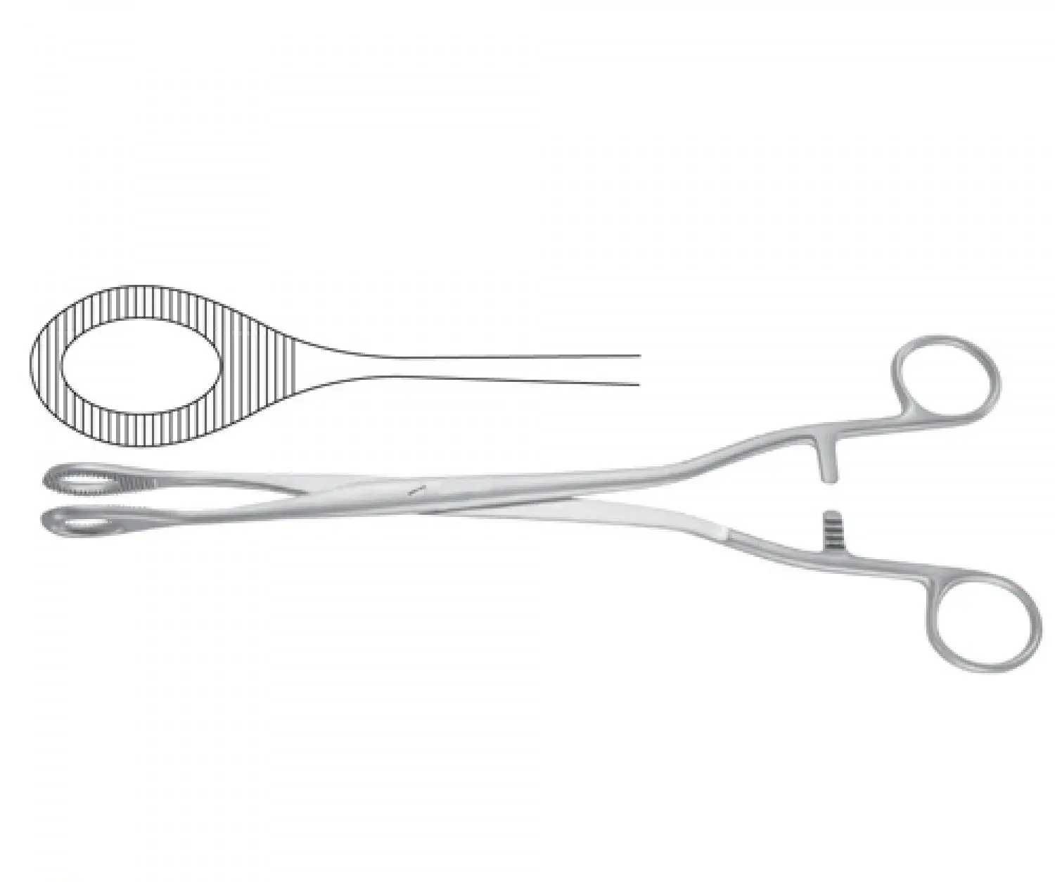 Bozeman Sponge & Uterine Dressing Forceps Obstetrics & Gynecology Forceps Professional Medical Devices