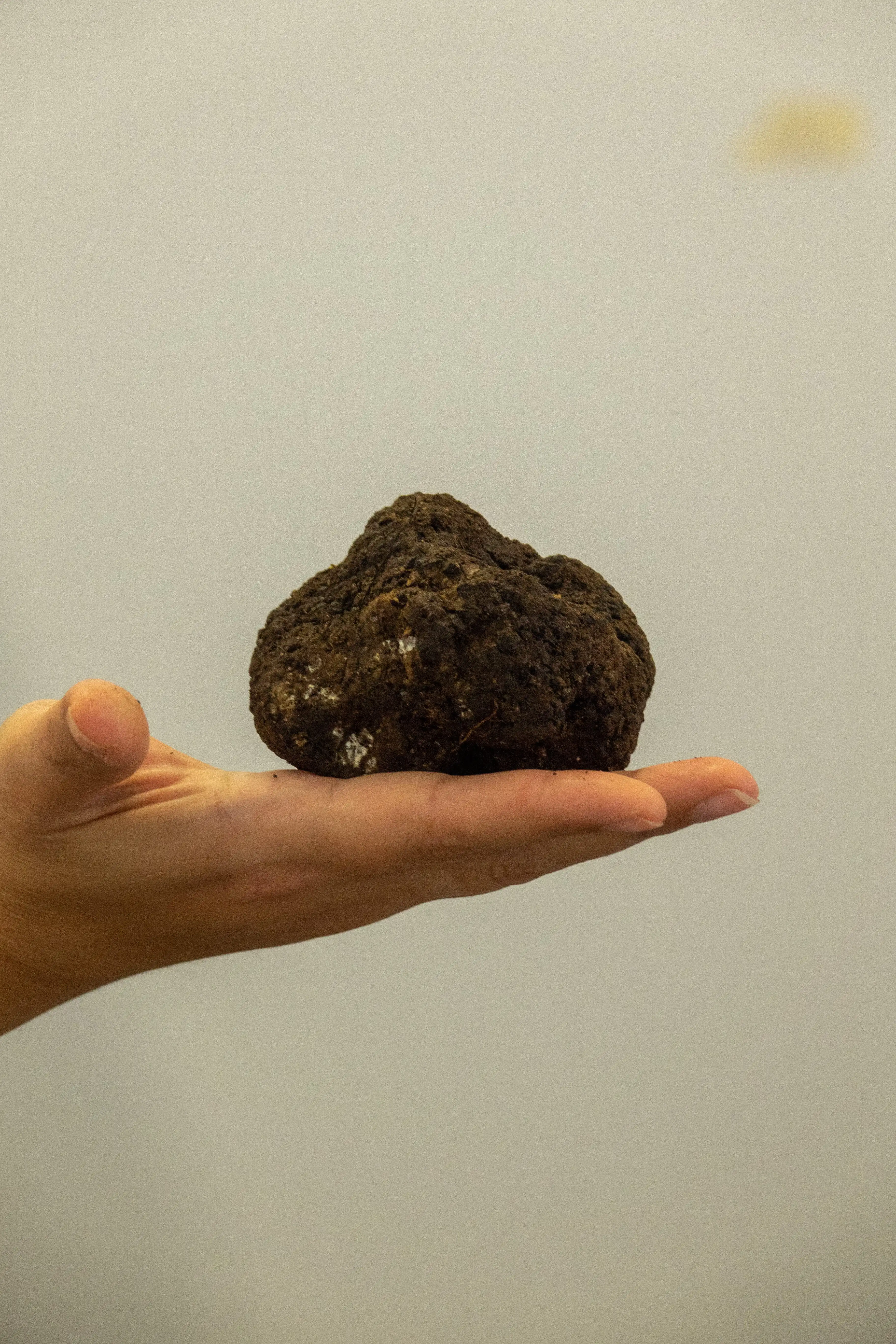 Wholesale luxury Premium quality Italian Hot Pepper with Truffle 80g perfect for dressing your dishes and for export