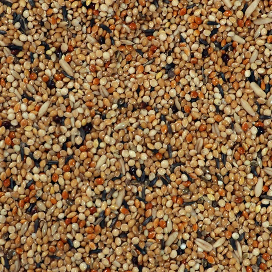 Best Grade Budgies Mix Bird Food Healthy and Organic Quality Dried Budgies Mix Bird Mix Food from Indian Supplier