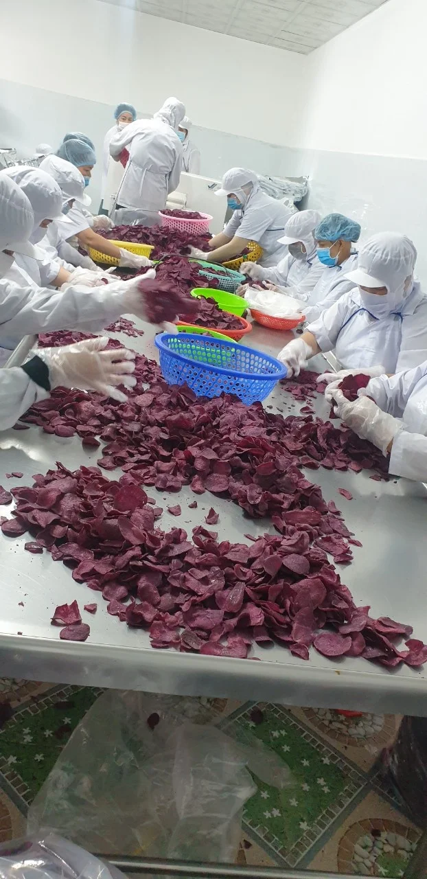 HOT SALE Tasty DRIED SWEET POTATOES From Vietnam for directly eat as snack or decoration cake or desserts or drinking
