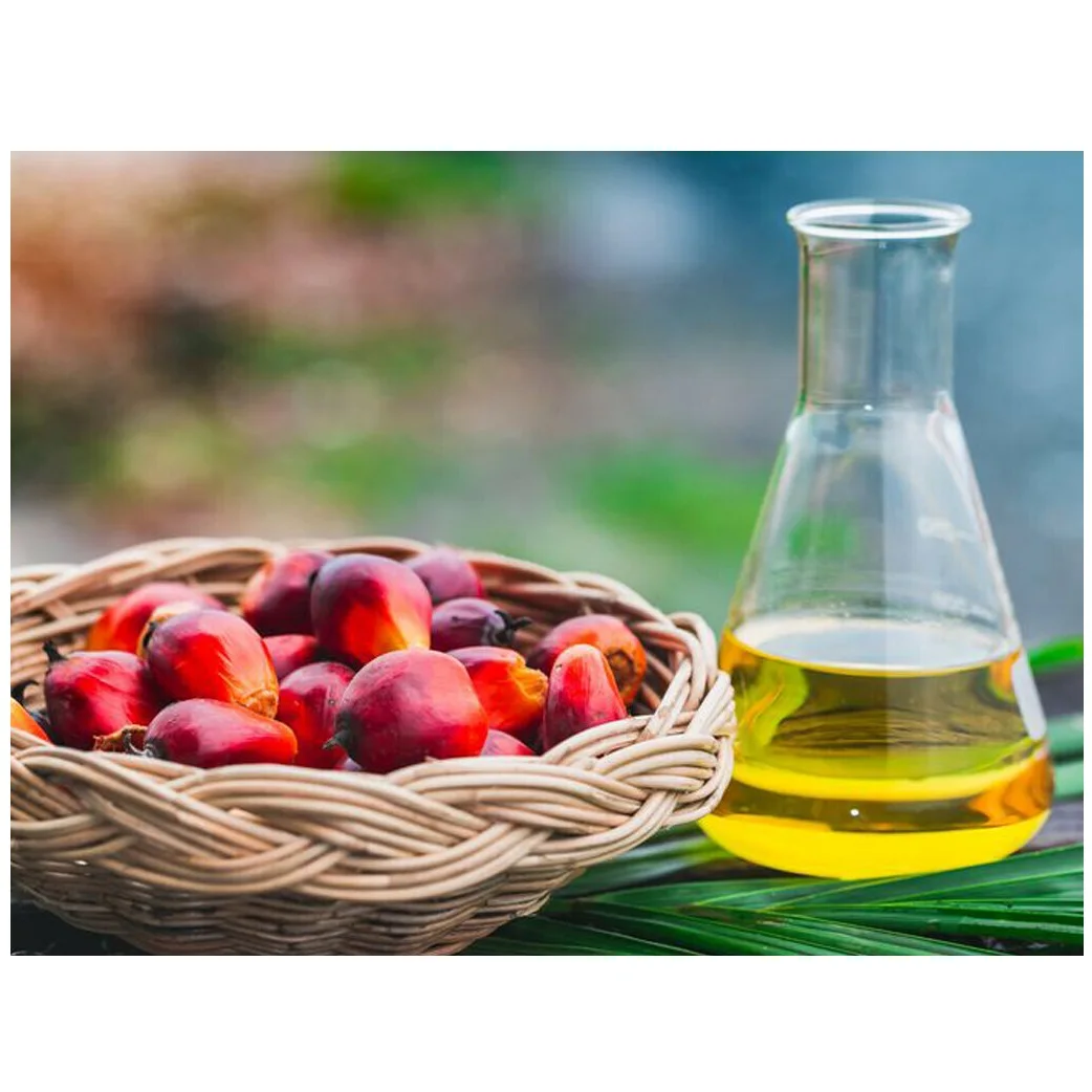 Refined CP66 CP8 CP10 Palm Cooking oil with cheap price