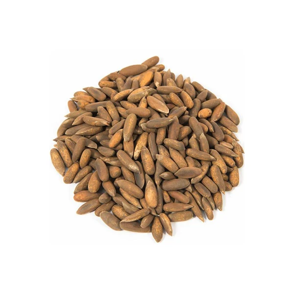 NEW SEASON PINE NUTS FROM CHINA SALE AT DISCOUNT
