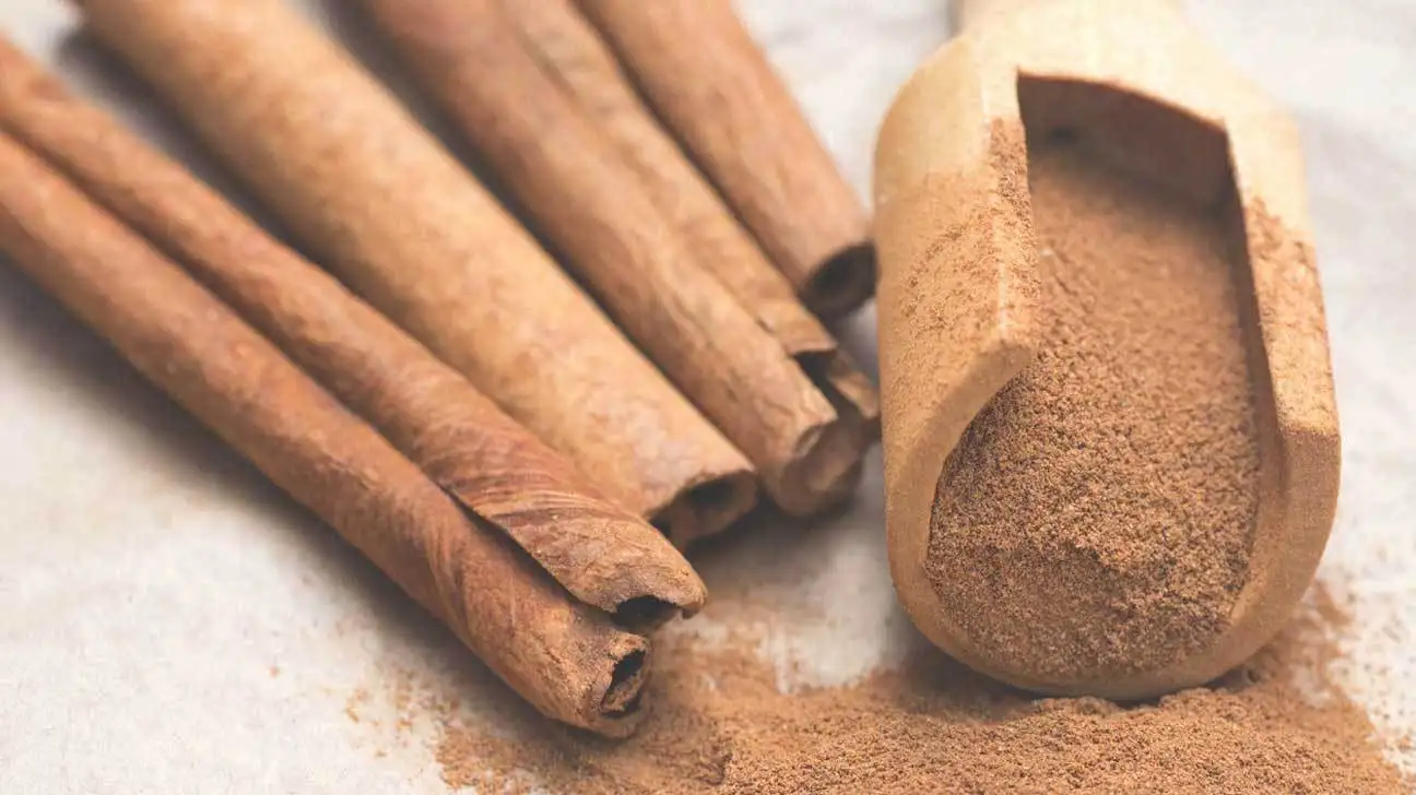 CIGAR CASSIA/ CINNAMON BEST QUALITY 95% ROLLING FOR EXPORT BEST PRICE (Mobile/ WA: +84986778999 David)