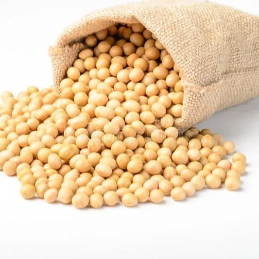 Quality Soybeans / Soya Beans for Export GMO & NON GMO Soybean Seed