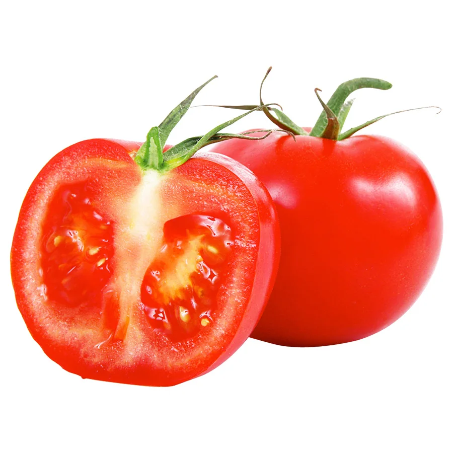 Good Quality Original low cost Fresh Beef Tomato / Cherry Tomato / Fresh Plum Tomatoes for Sale