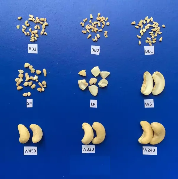 FOR SALE W320 W240 W180 Raw Cashew Nuts factory price Dried Fruits Nuts