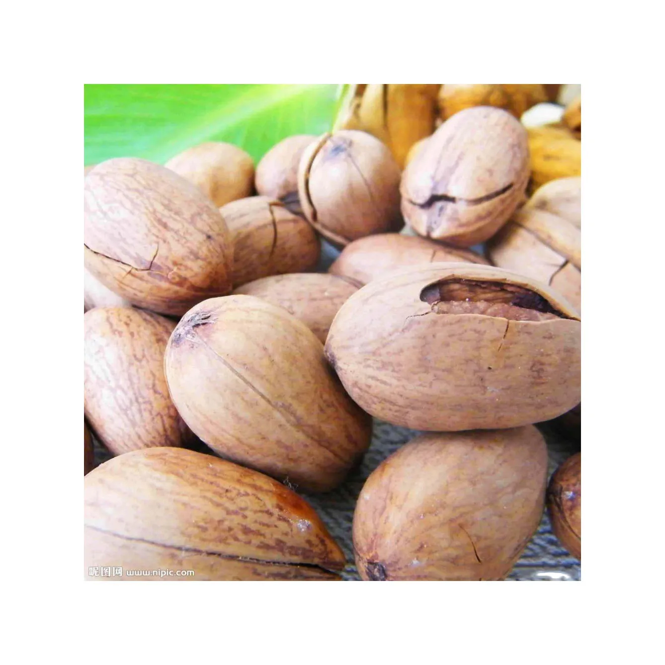 Wholesale Custom Private Label Food Grade Dried Product 50kg Bags 25tons 15days Pecan Nuts Halves