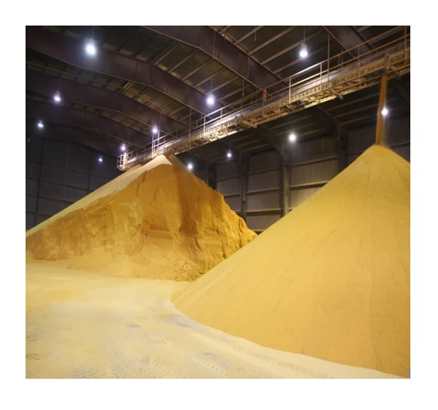 DDGS - Animal feed with high protein content