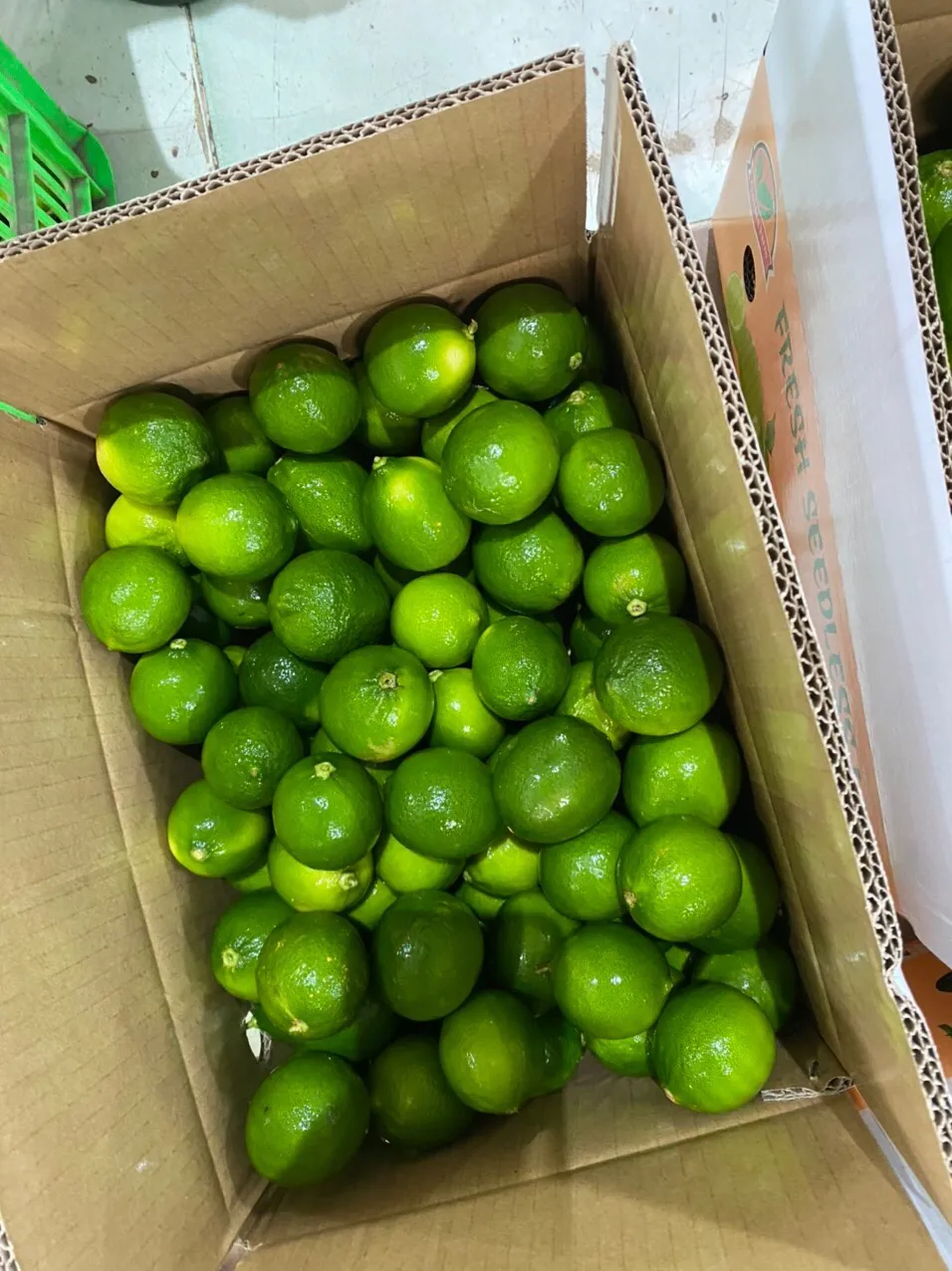 Competitive Price Green Natural Fresh Lemon Sour Taste Used For Beverage Wholesale Orders Origin From Vietnam