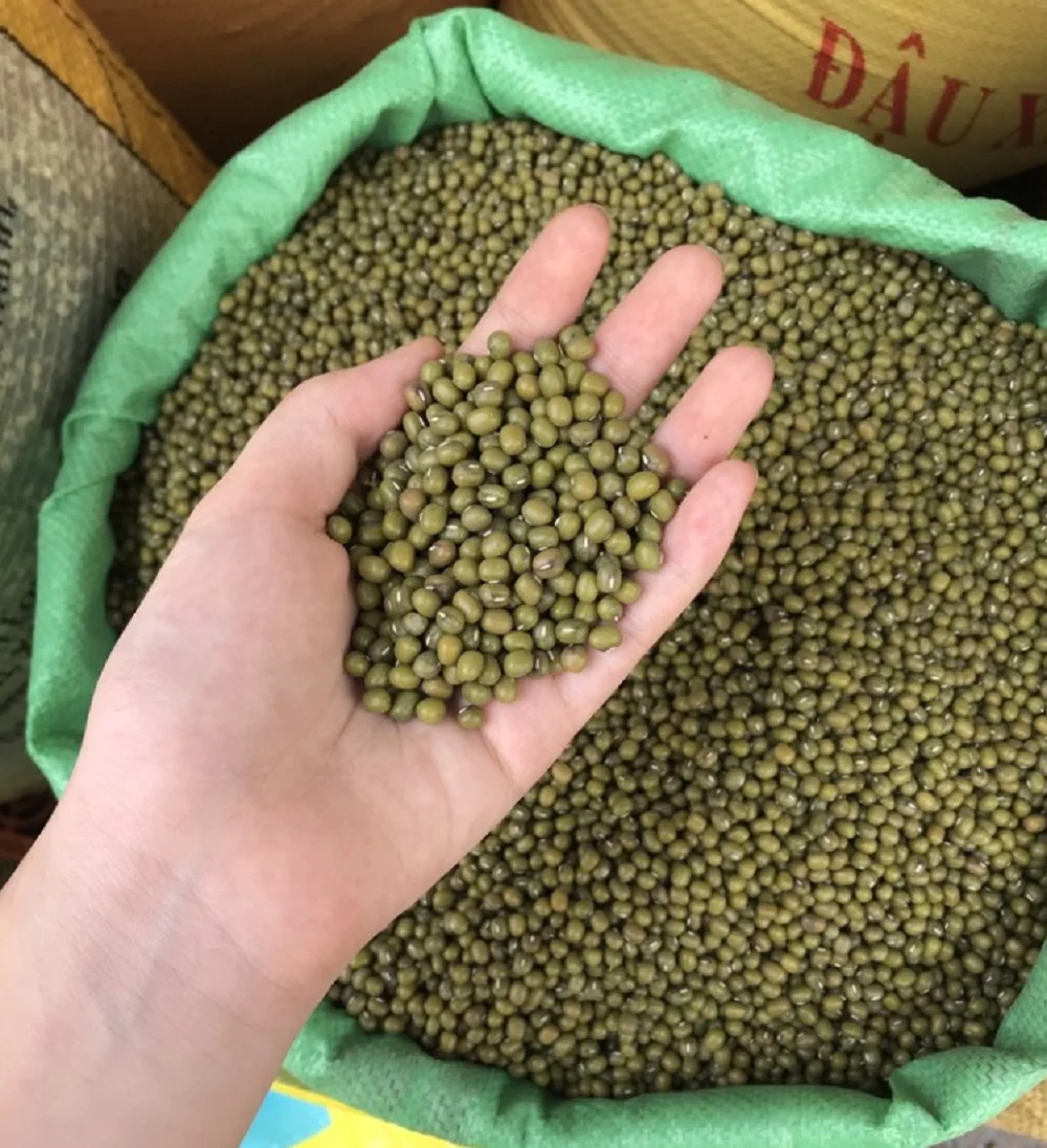 High Quality Raw Vietnam Green Mung Bean Vietnam Supplier WholesalesGood Prices New Crop In stock