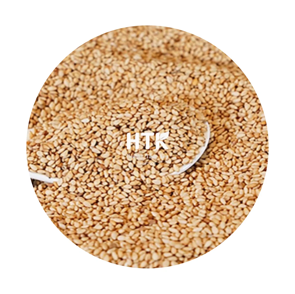 Healthy 2024 WHITE SESAME POWDER Made In Vietnam Factory from HTK FOOD for Food & Beverage