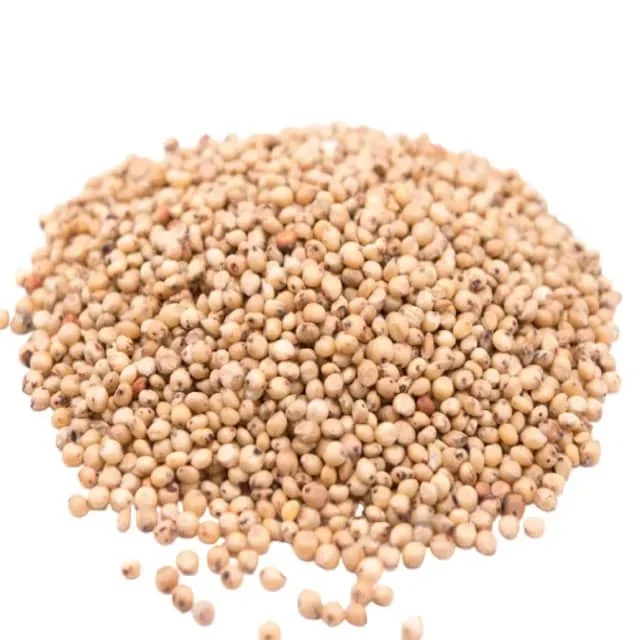 TOP QUALITY SORGHUM FOR SALE