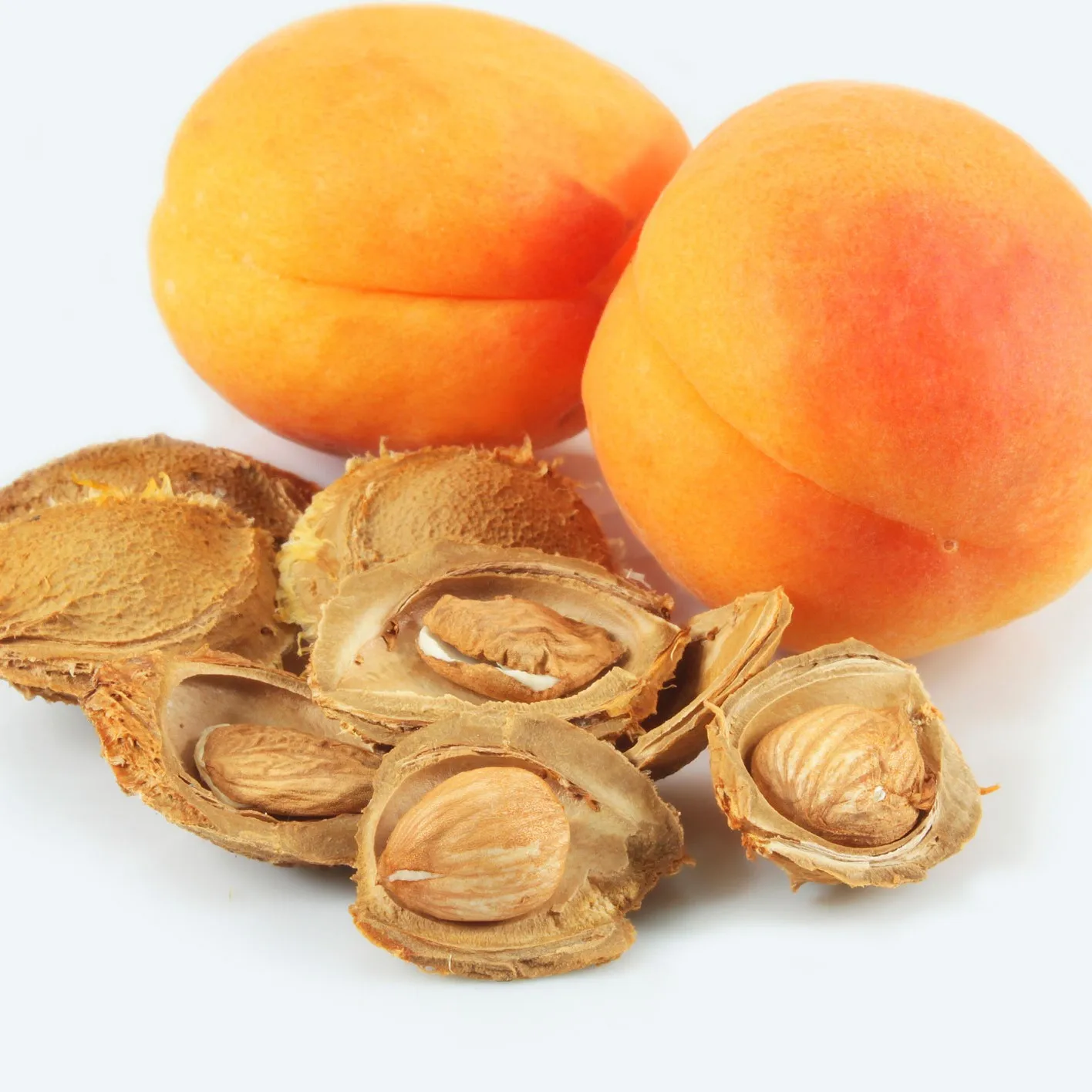 Wholesale Organic Apricot Kernel Agriculture Nuts & Kernels Apricot Kernels