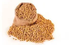 Organic Golden Linseed/Flaxseed Whole Flax Seeds Organic Flaxseed Export Grade High Quality Cheap Price Golden Flax Seeds