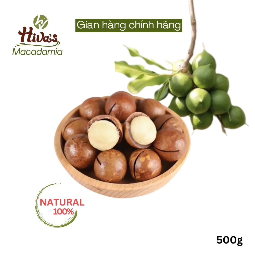 Farm Macadamia seeds Viet Nam big size 26-30mm Freeze dried Fast delivery from Factory Wholesale price 500g jar Ready to export