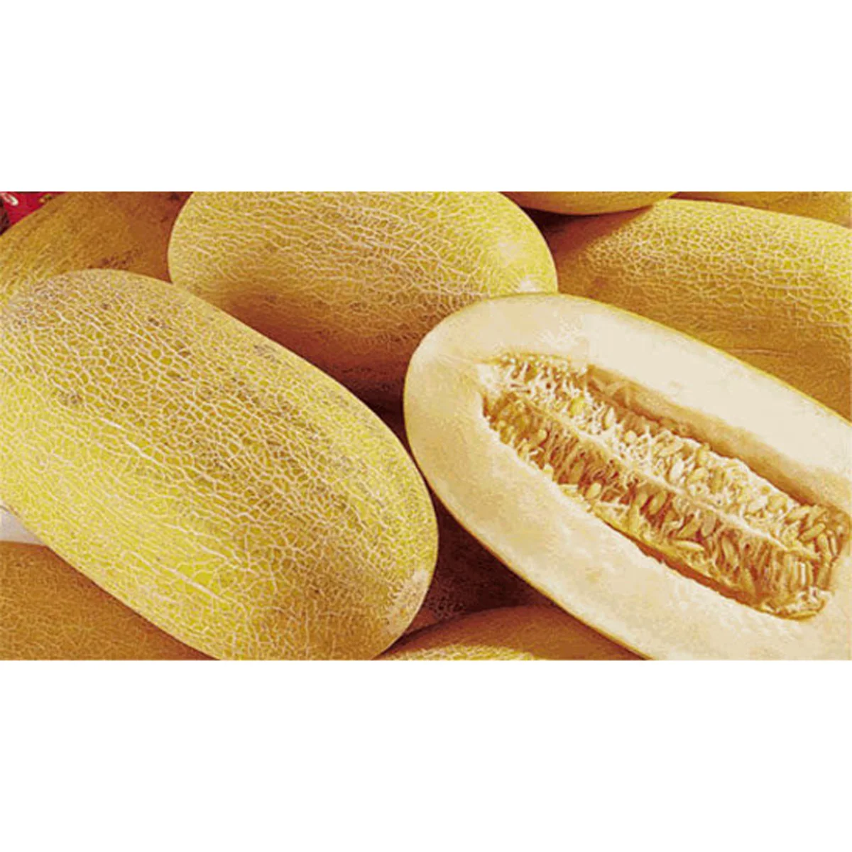 Свежие дынные 100% натуральные без химикатов оптовые цены дыни и арбузы