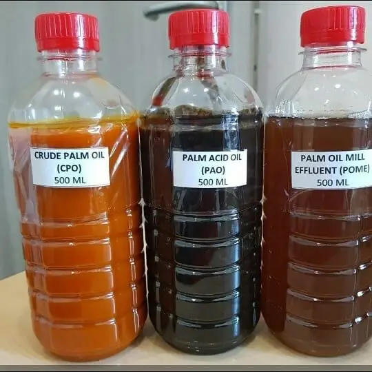 palm acid oil11.jpeg