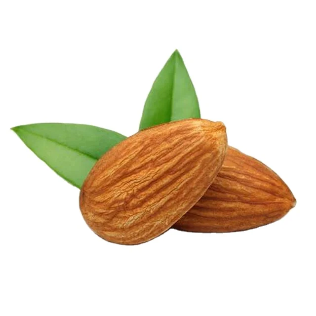 High Quality / Top Brazilian / Healthy snack top grade organic almond kernels shelled almonds nuts in bulk Raw unshelled almonds OEM service