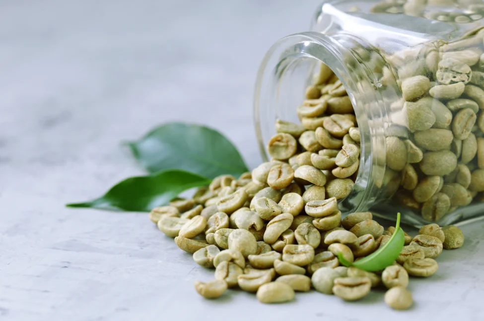 Высококачественные зеленые кофейные зерна премиум-класса от завода-поставщика Лучшая цена 100% натуральные чистые зеленые кофейные зерна горячая распродажа