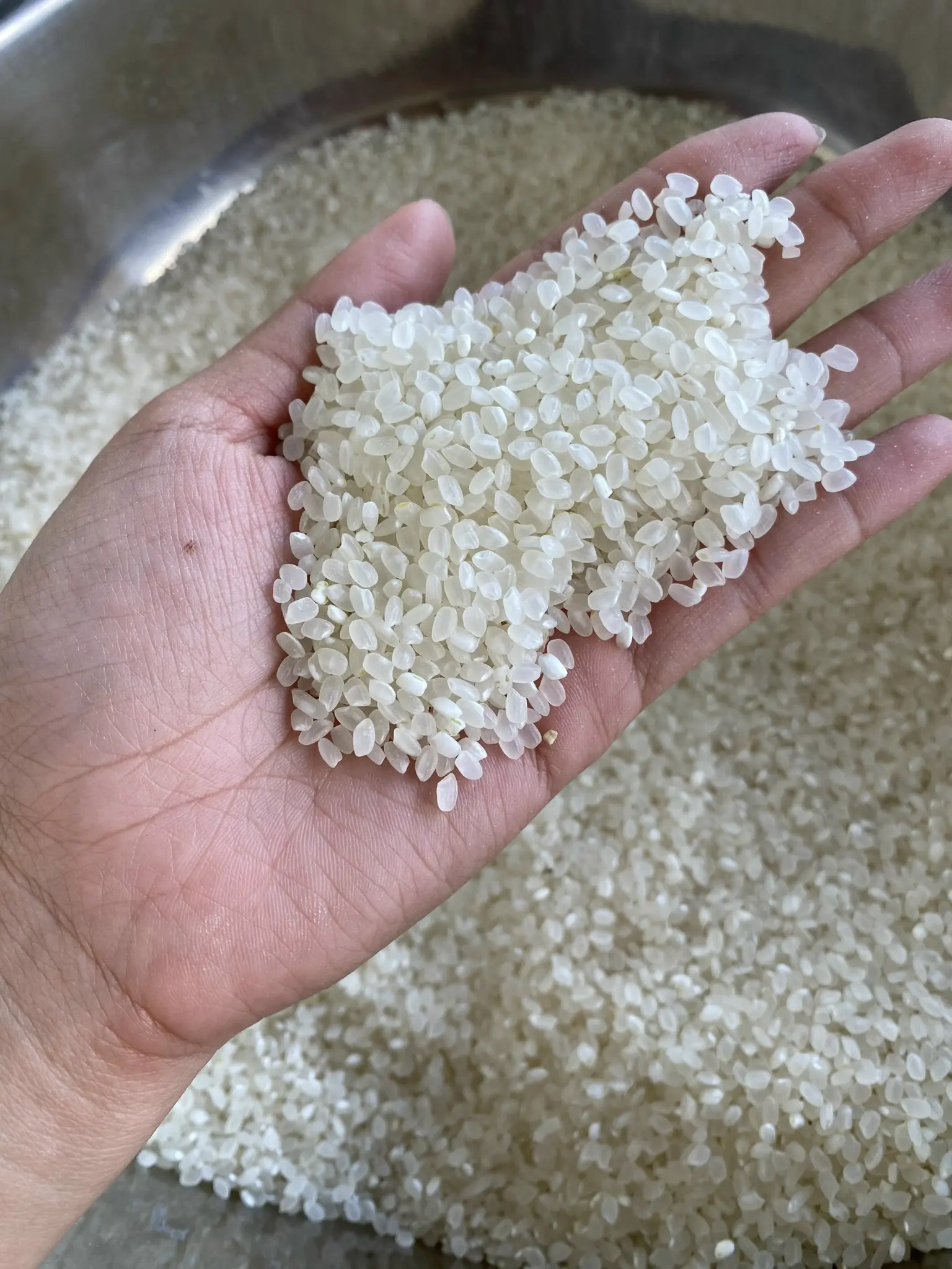 JAPANESE RICE NATUAL GRAIN WHITE EXPORTED OEM SUPPORT ORGANIC SHORT TYPE BYJCC VIETNAM RICE SUPPLIER