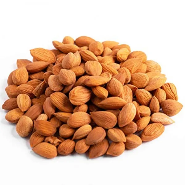 Italian Dried Apricot kernels /Healthy seeds nuts kernels with High Quality