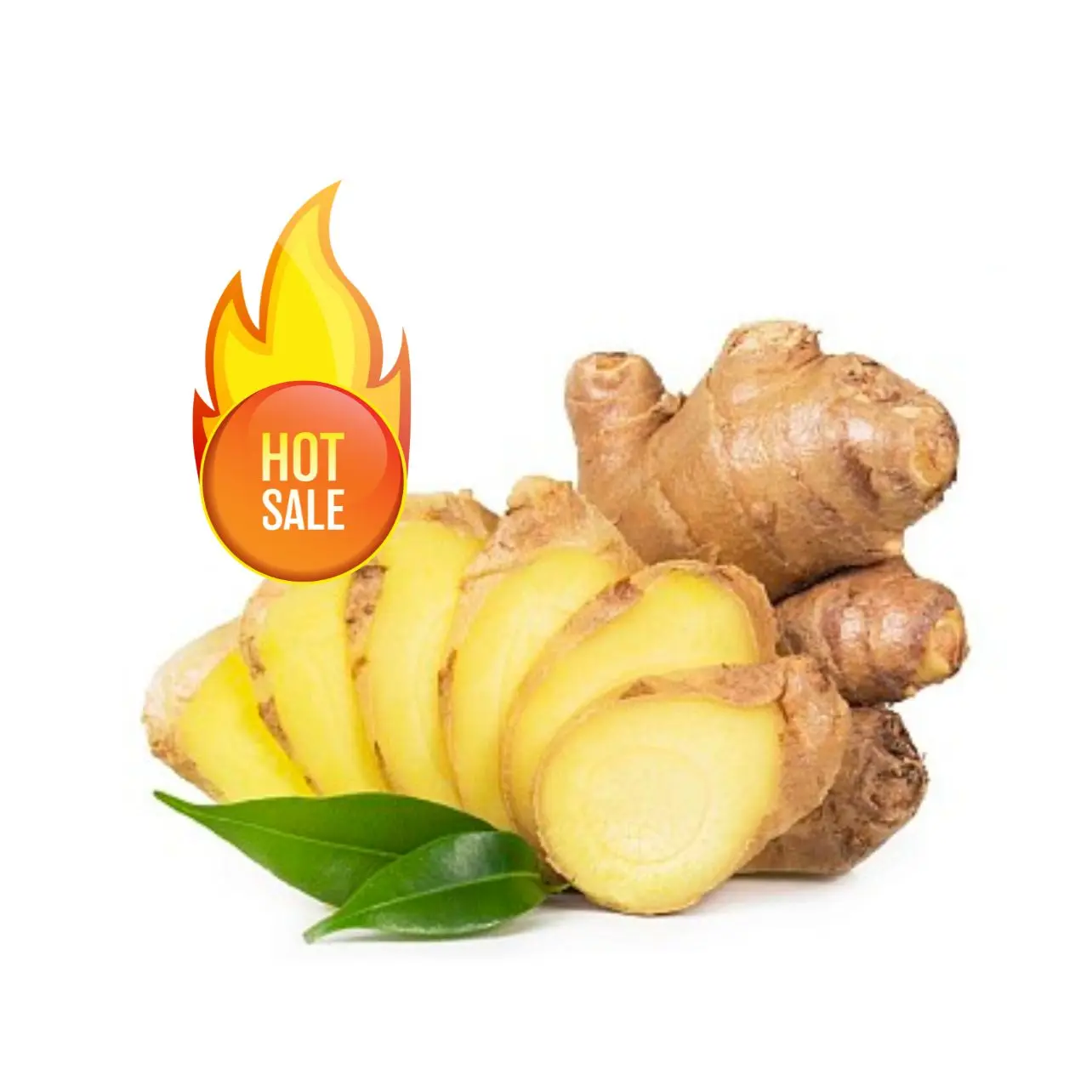 Лучший выбор свежего экстракта корня имбиря слона высокое качество и Лучшая цена образец из Вьетнама