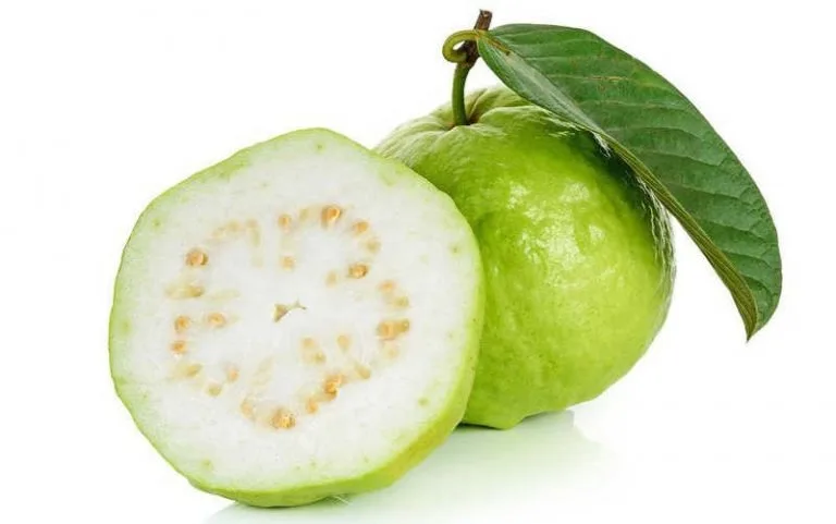 Vietnam Rich Quality Good Taste Fresh Fruit Red Guava For Wholesale Purchase