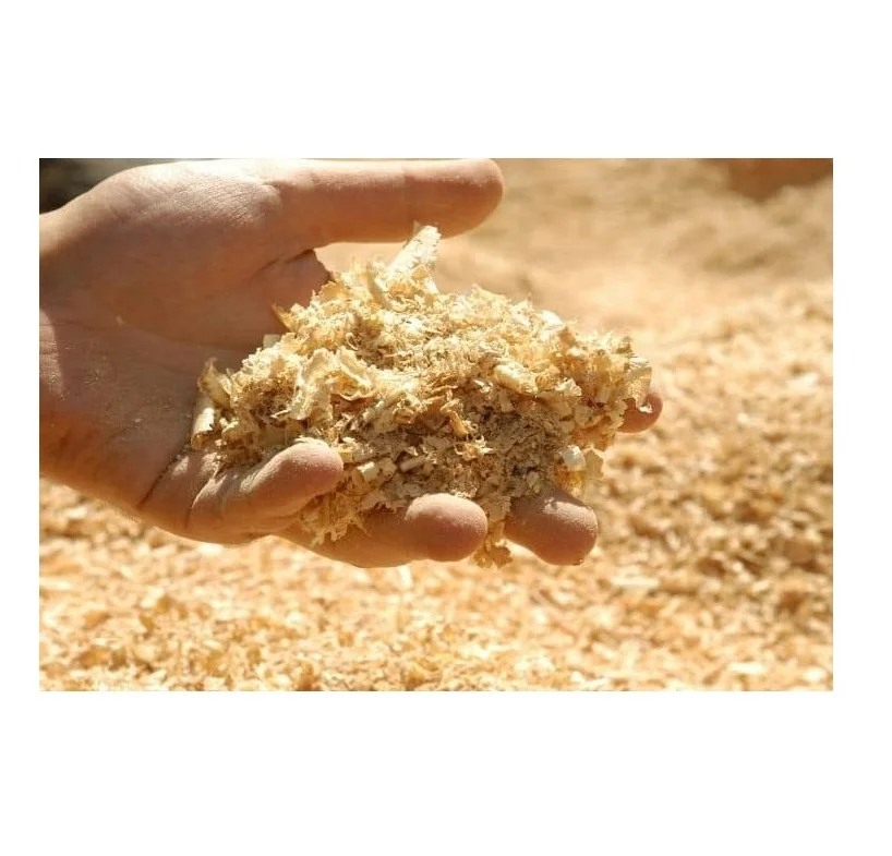 Hot Selling Price Pine Wood Sawdust For Animal bedding in Bulk