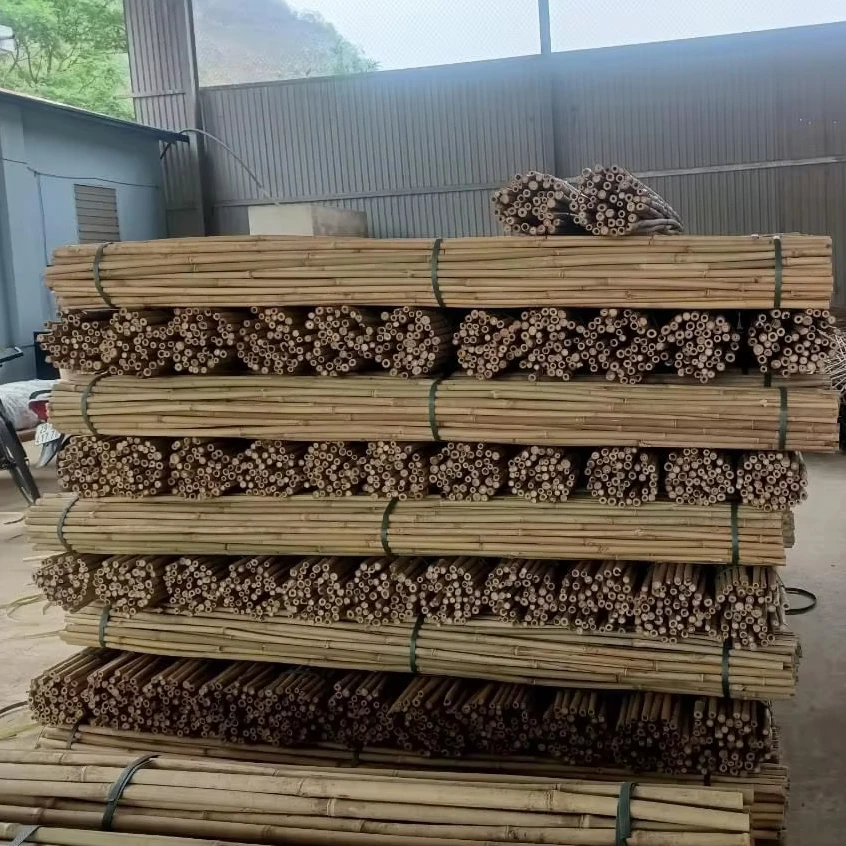 Best Price Bamboo Pole Raw Materials Treated Bamboo Whole Sales Vietnam Origin
