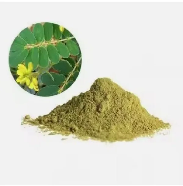 Cassia Obovata powder at wholesale Price From India
