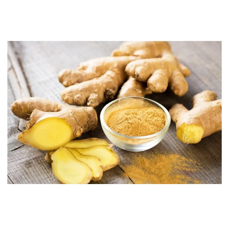 Whole Ginger plant extract ginger oil price