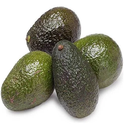 Avocado Hass Fresh Avocado from Peru Green Tropical Style Color/ Wholesale Fresh Premium Avocado