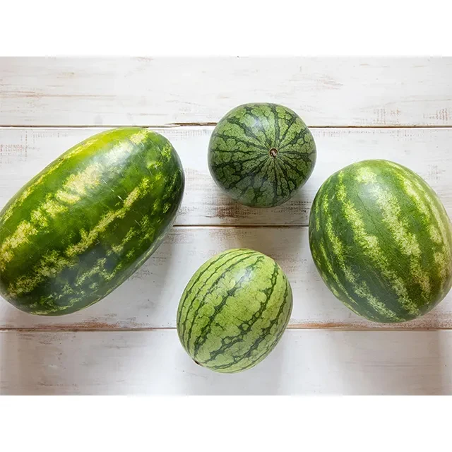 Best Quality Rich Quality Good Taste Fresh Fruit Red Guava For Wholesale Purchase Suppliers Wholesale Products Fresh Guava