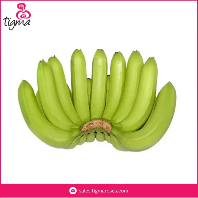 Best Quality Premium Grade 100% Natural Fresh Cavendish Bananas Originated from Ecuador Manufacturer